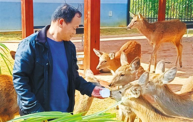 高质量发展产业调研】林下生金mg不朽情缘游戏网站登录【