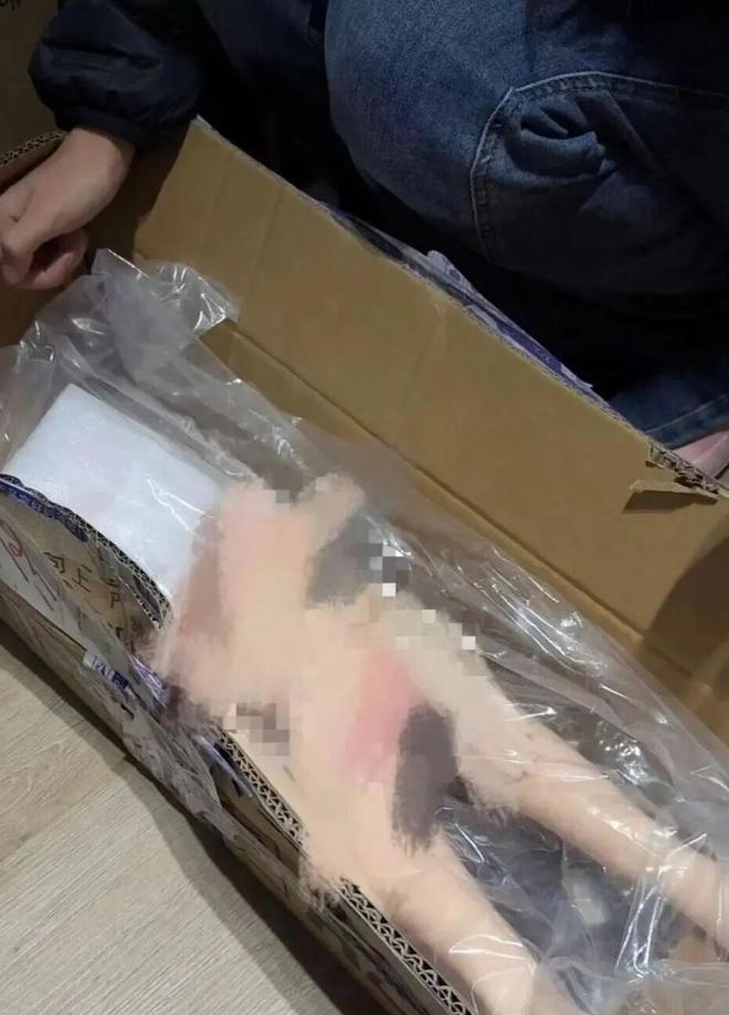 莞通报：已查封！不朽情缘登录东(图2)